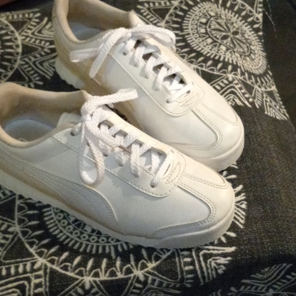 Pumas - Picture 2 of 12